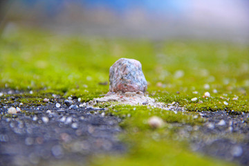 Stones with moss