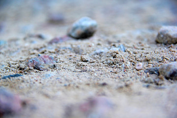 Rocks