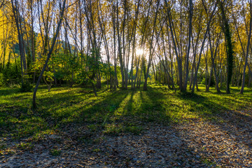 Barranc de l'Encantada