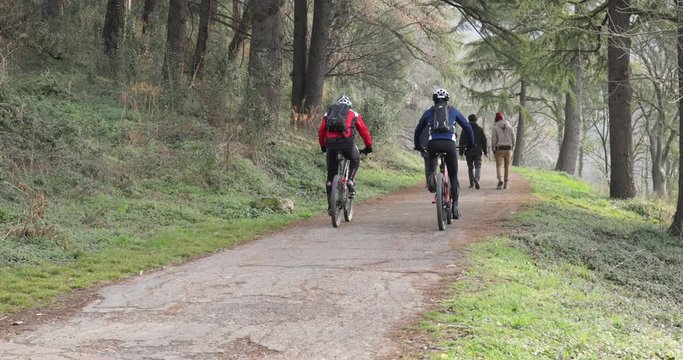 Giro in bici nel bosco