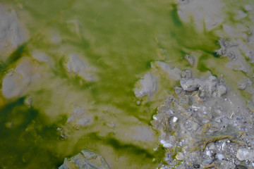 green reflection on a puddle of water 