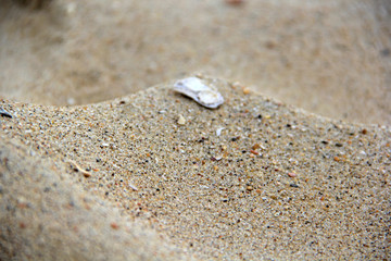 Sand