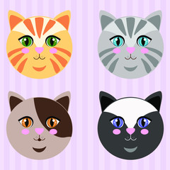 set of funny cats