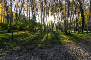 Barranc de l'Encantada