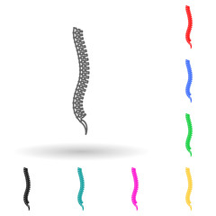spine multi color style icon. Simple glyph, flat vector of human parts icons for ui and ux, website or mobile application