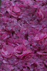 Dense artificial pink rose wall