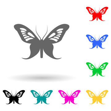 butterfly multi color style icon. Simple glyph, flat vector of insect icons for ui and ux, website or mobile application