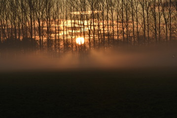 mist sunset