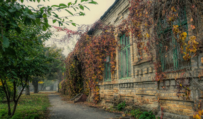 Wooden closed door of an old abandoned house © Maryna Konoplytska