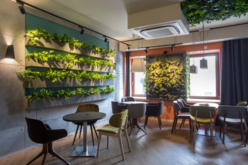 Modern cafe interior style, green eco environmental with plant