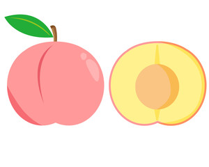 桃　白桃　フルーツ　果物