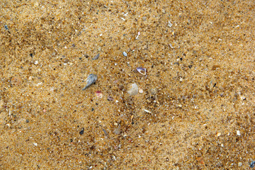 Sand