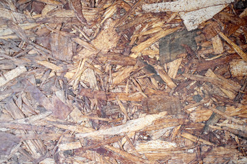 texture of bark of tree