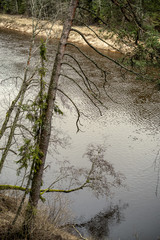 picturesque river in forest in autumn