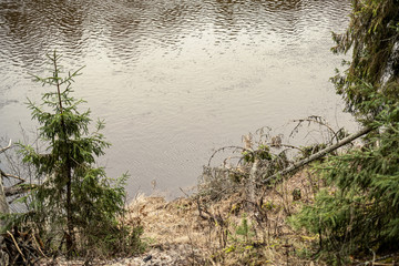 picturesque river in forest in autumn