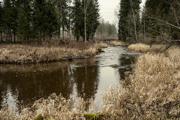 picturesque river in forest in autumn