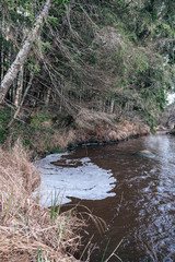 picturesque river in forest in autumn