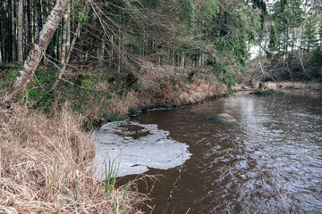 picturesque river in forest in autumn