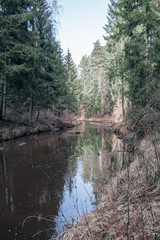 picturesque river in forest in autumn