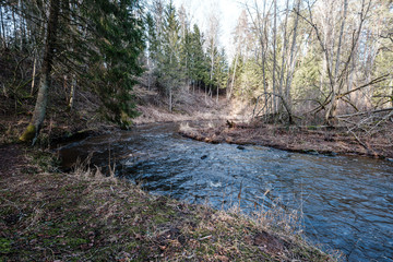 picturesque river in forest in autumn