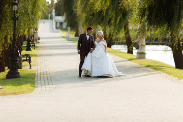 Wedding in the castle. Stylish and beautiful. Princess's dress. Lush white dress and veil. Bride is a brunette. The groom in a black suit. A couple is walking in the park on the castle grounds.