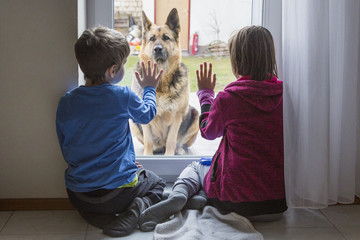 zwei kinder wollen den hund streicheln, aber er darf nicht hinein