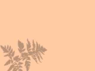 Shadow leaf on coral background