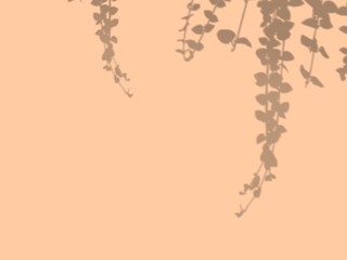 Shadow leaf on coral abstract background