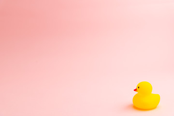 アヒルのゴム人形 © Hiroyuki