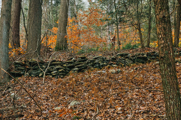 A Shot of a Rock Wall in an Autumn Landscape