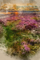 Digital watercolor painting of Stunning dawn sunrise landscape image of heather on Higger Tor in Summer in Peak District England