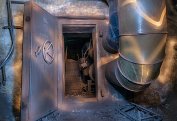 Service tunnel in the subway.Reinforced concrete wall with an open door.Large diameter pipes pass...