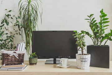 Workplace  home among plants in the home garden, the concept of freelance, work at home, a cozy place, slow life, mood background in scandy style