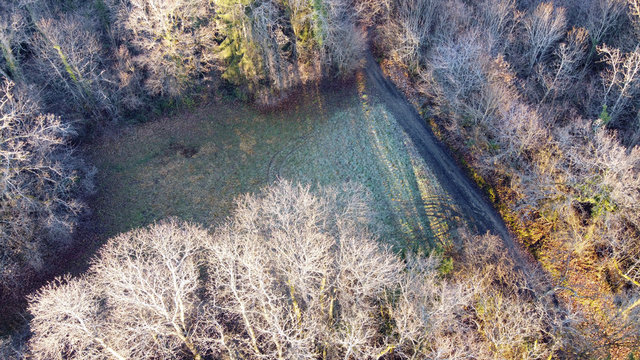 Forest And Clearing Seen From Above