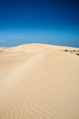 Landscape of curving sand dunes with ripple effect on sand. Perfect blue sky. Corralejo, Fuerteventura, Canary Islands, Spain.