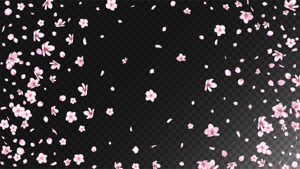Nice Sakura Blossom Isolated Vector. Realistic Showering 3d Petals Wedding Design. Japanese Blurred Flowers Wallpaper. Valentine, Mother's Day Tender Nice Sakura Blossom Isolated on Black