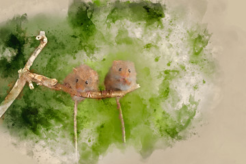 Digital watercolor painting of ADorable and Cute harvest mice micromys minutus on wooden stick