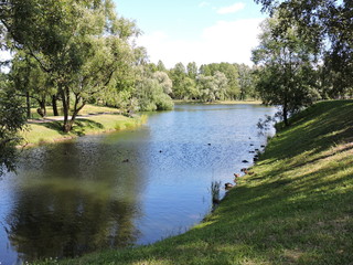 Fototapeta na wymiar river in the park, Saint-Petersburg
