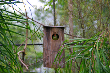 birdhouse
