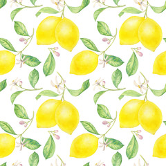 watercolor drawing branch of lemon