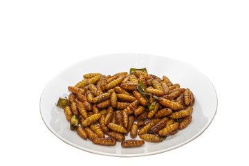Fried pupa with a white background