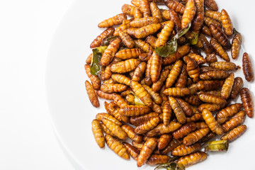 Fried pupa with a white background