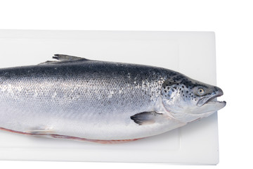 fresh fish on a plate