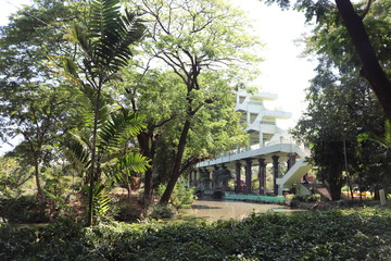 bridge in the park