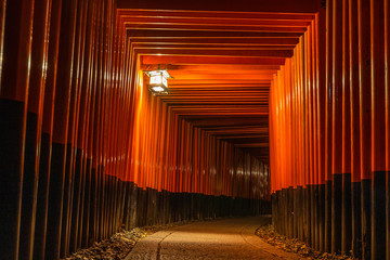 Scenic night view of the walking path of Fushimi Inari shrine with thousands of orange torii gates,...