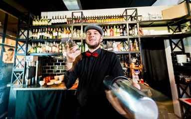 Obraz na płótnie Canvas Bartender is making cocktail at bar counter. Fresh cocktails. 