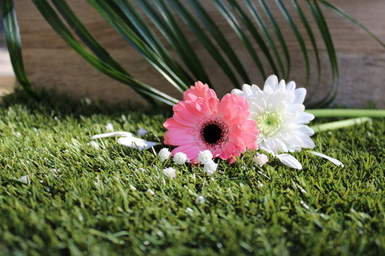 Fleurs et p&eacute;lates de fleurs : composition de printemps, design floral