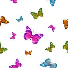 Obraz premium Butterfly pattern vector on white back for education,agriculment,science,artwork,Graphic design.