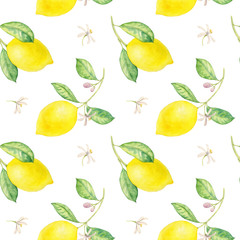 watercolor drawing branch of lemon
