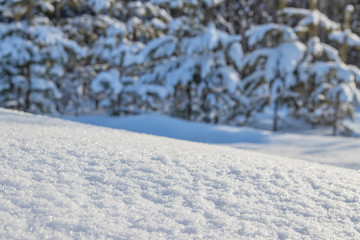 Photo of a snowdrift in the foreground, snowflakes. Blurred backdrop with coniferous forest.